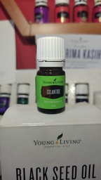 Young Living Cilantro